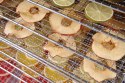 Suszarka do żywności 10 tac 430x550x(H)416mm