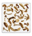 Suszarka do żywności Kitchen Line, 7 tac 347x505x(H)320mm