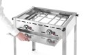 Grill " Green Fire" 2 - palnikowy 2 palniki - bez półki 11,6kW, 740x615x(H)825mm