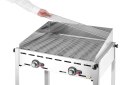 Grill " Green Fire" 2 - palnikowy 2 palniki - bez półki 11,6kW, 740x615x(H)825mm