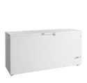 Zamrażarka na lody FR605 SL
