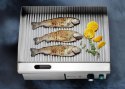 Płyta grillowa ryflowana Hendi Budget Line 550x430x(H)240mm