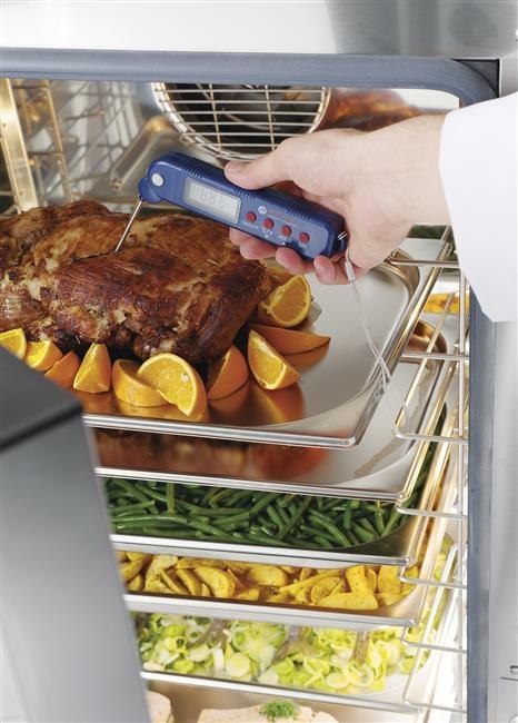 Termometr cyfrowy ze składaną sondą Wariant podstawowy