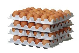 Zestaw 4 tacek na jajka HENDI OVOBOX 120, 291x288x(H)41mm